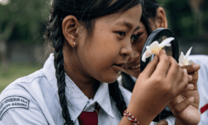Apa yang dimaksud dengan menyesuaikan pendidikan sesuai kodrat alam? Apa yang Dimaksud dengan Menyesuaikan Pendidikan Sesuai Kodrat Alam Rifai Hamda rifaihamda.com