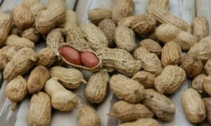 Bagaimana Kandungan Garam Tambahan pada Kacang Panggang? Bagaimana Kandungan Garam Tambahan pada Kacang Panggang?